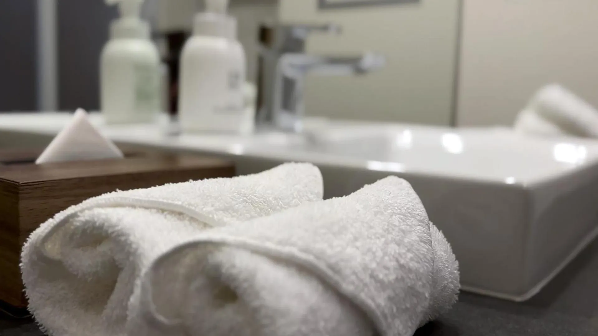 酒店 Prostyle Ryokan Tokyo Asakusa